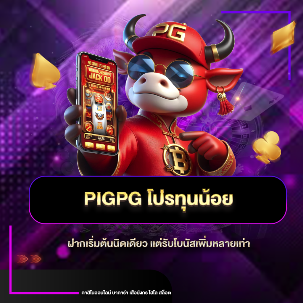 pigpgทุนน้อย