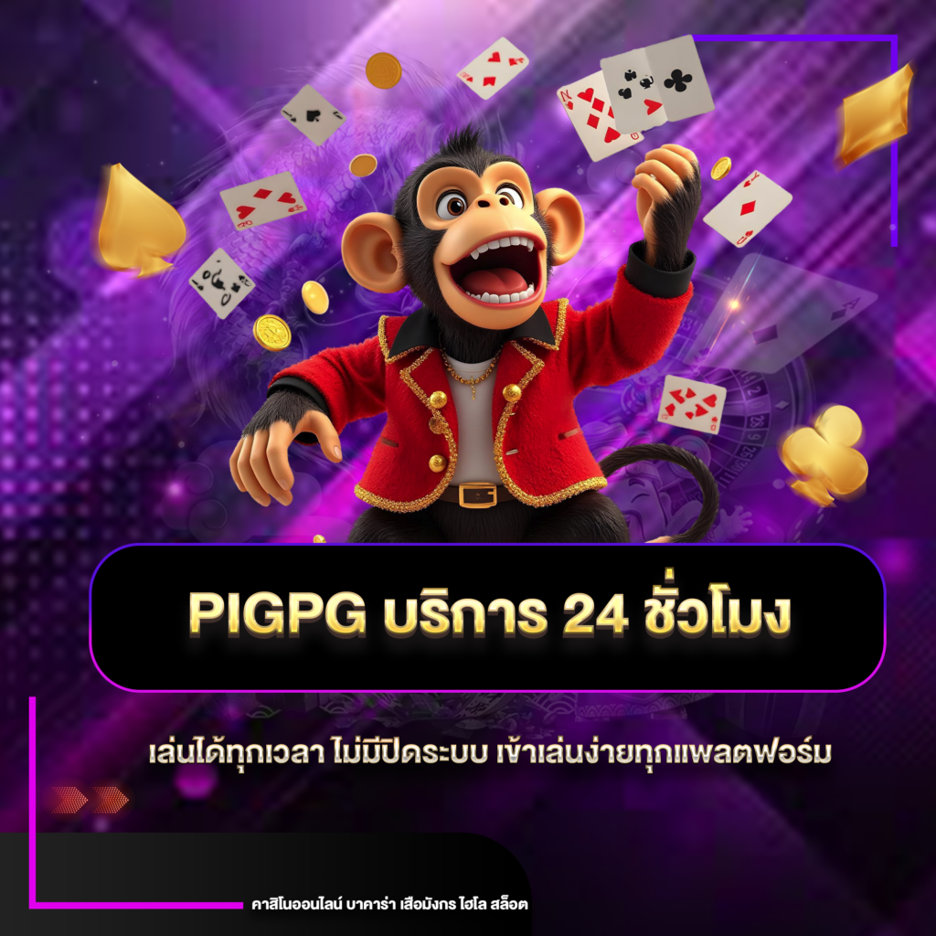pigpg24ชม